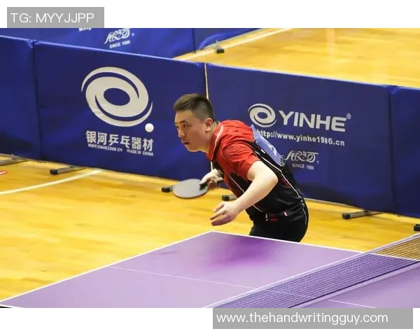 成都乒乓球队状态分析与未来展望聚焦训练与比赛表现的全面评估