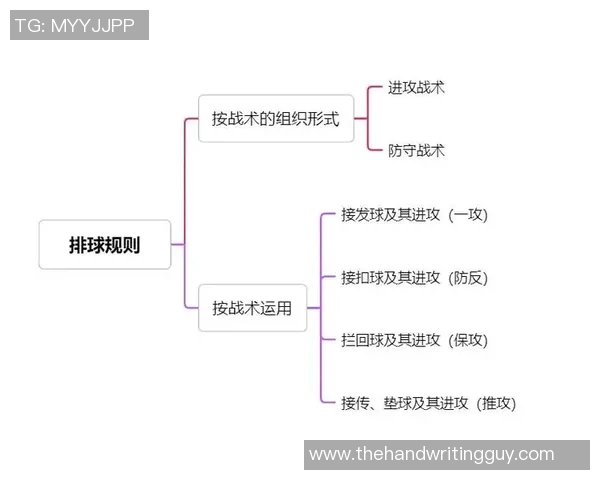 成都排球队在城市联赛中的灵活性表现及其战术分析 成都排球队在城市联赛中的灵活性表现及其战术分析