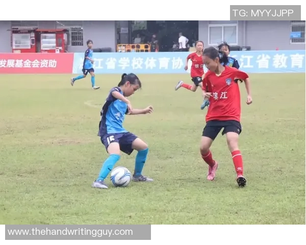 杭州羽毛球队整体压制革新之路探索与实践分析