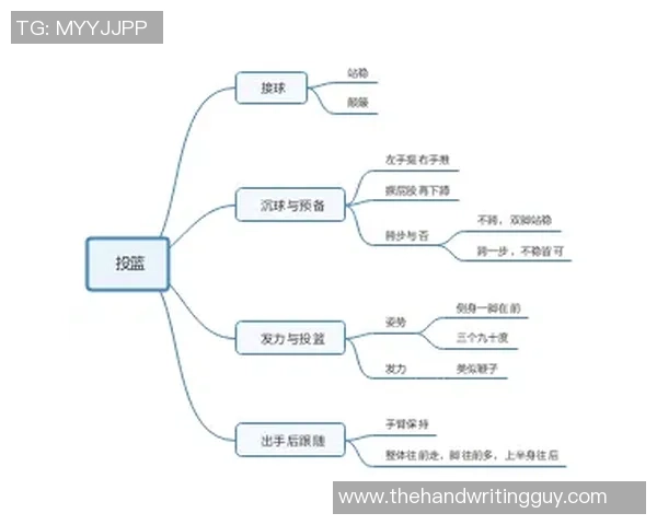 篮球装备选购指南:提升训练效果的必备器材推荐与使用技巧 篮球装备选购指南:提升训练效果的必备器材推荐与使用技巧