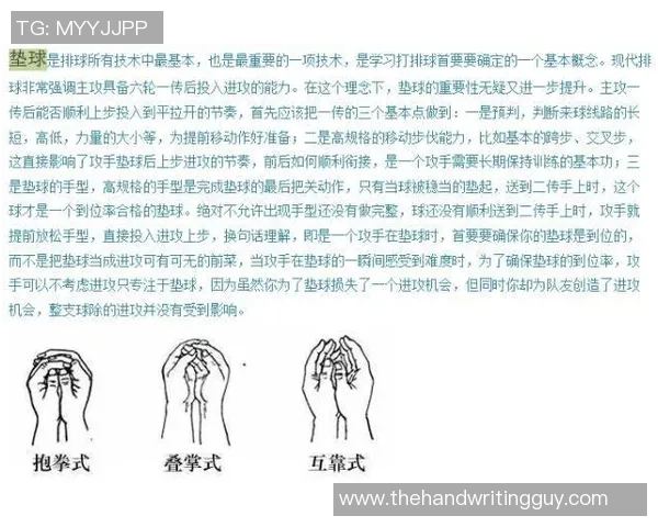 重庆排球队的灵活性揭秘:排球运动中的技巧与策略分析 重庆排球队的灵活性揭秘:排球运动中的技巧与策略分析