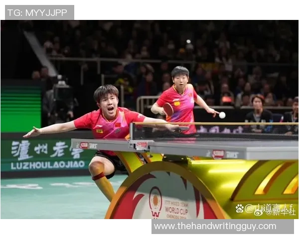 乒乓球个人能力排行榜：成都乒乓球队位居第3名