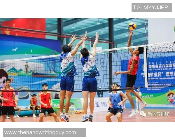 专业解读：武汉排球队的控制打法