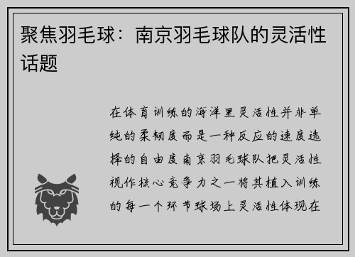 聚焦羽毛球：南京羽毛球队的灵活性话题